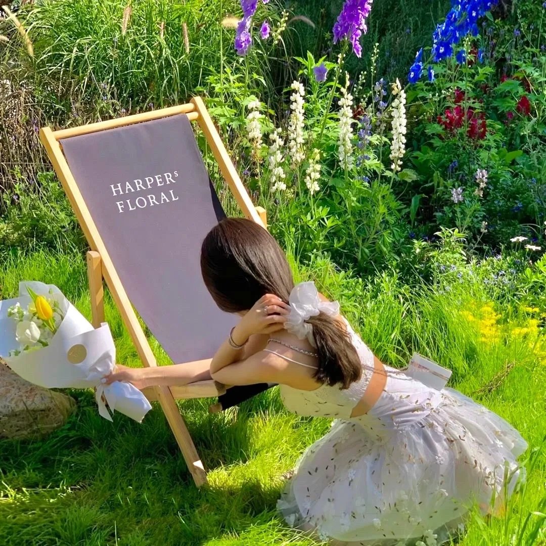 丹下左膳余话·百万两之壶